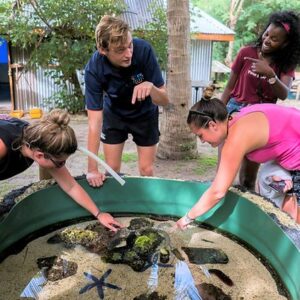 Barefoot Manta Island Resort - Marine Biology