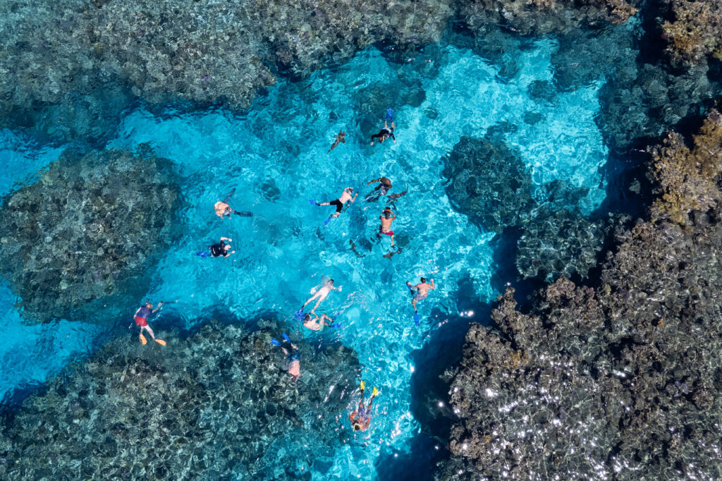 Barefoot Kuata Island Resort - Shark Snorkelling