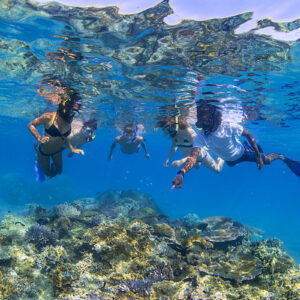 Guided snorkelling