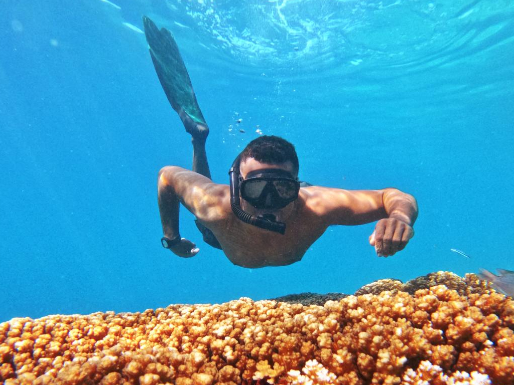 Snorkelling - Yasawa Islands