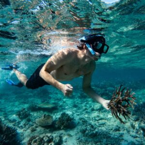 Coral Planting