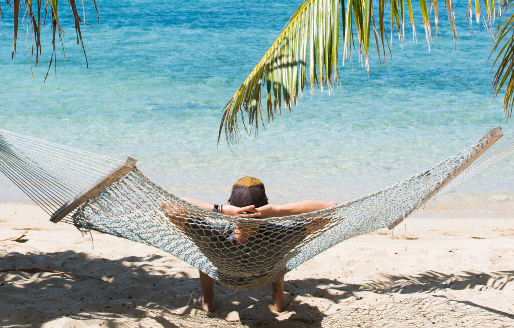 Palm tree hammock